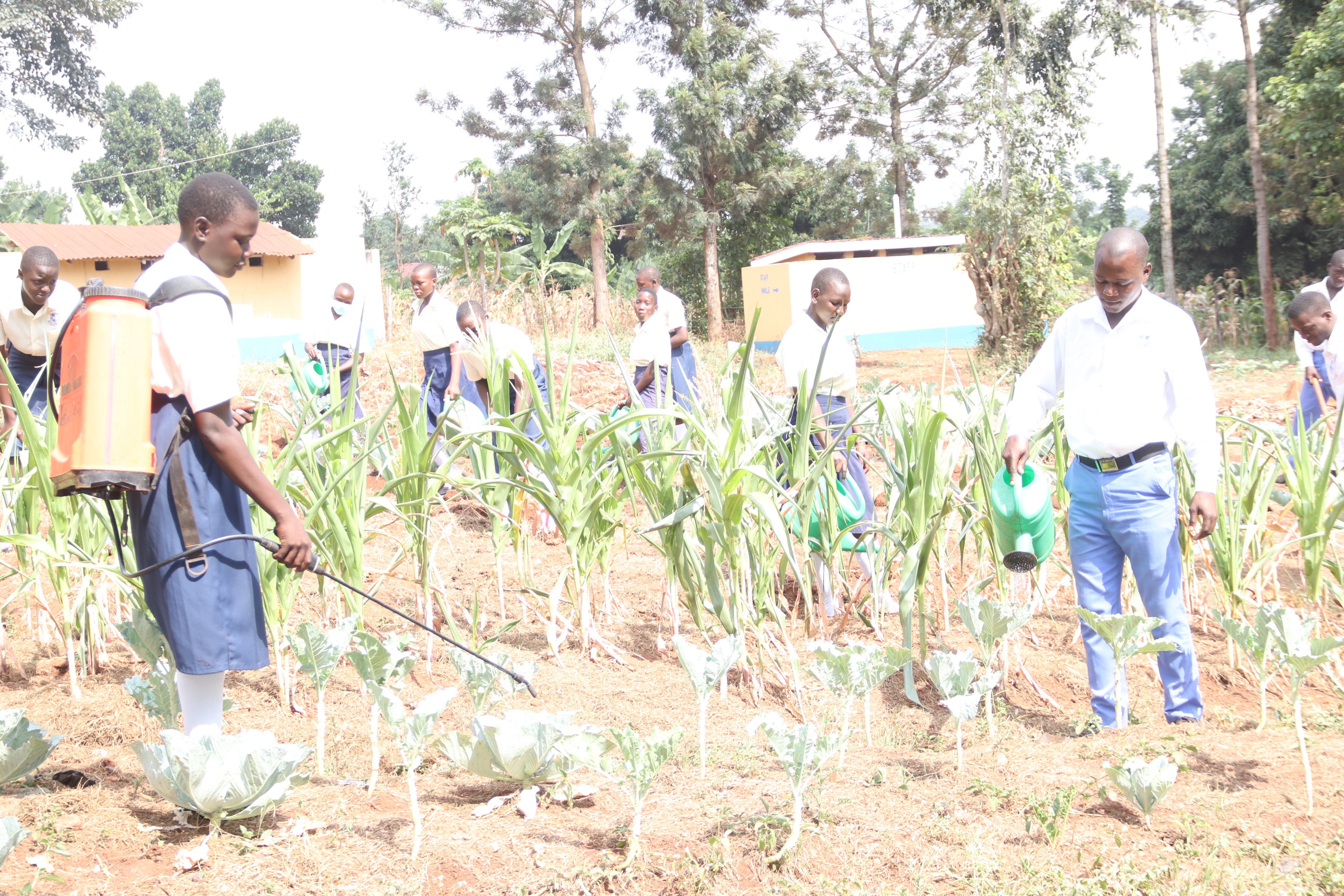 Students in agriculture projects